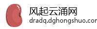 风起云涌网